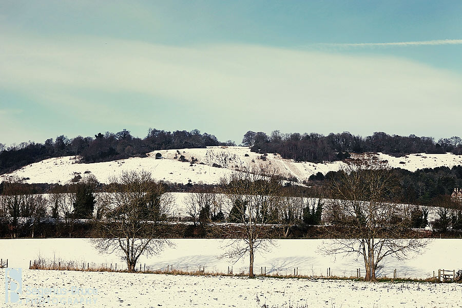 Box Hill snow pictures