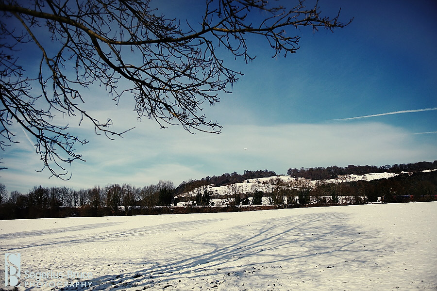 snow pictures in Surrey, Box Hill