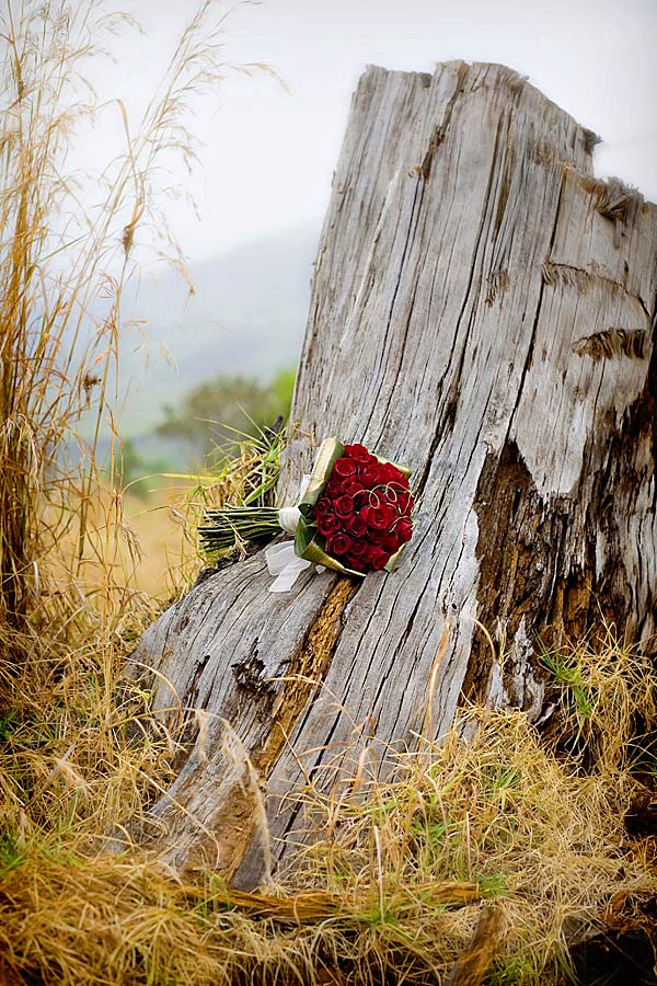 Wedding Bouquet with red roses taken outdoors in South Africa