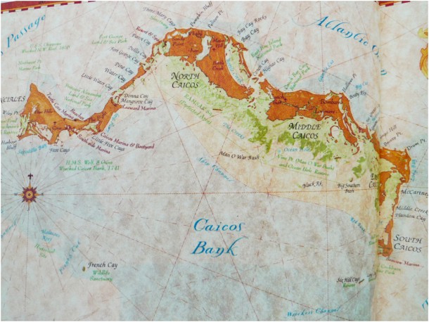 Leeward Beach Providenciales Turks and Caicos (7)